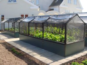 Greenhouse Gardening Ideas