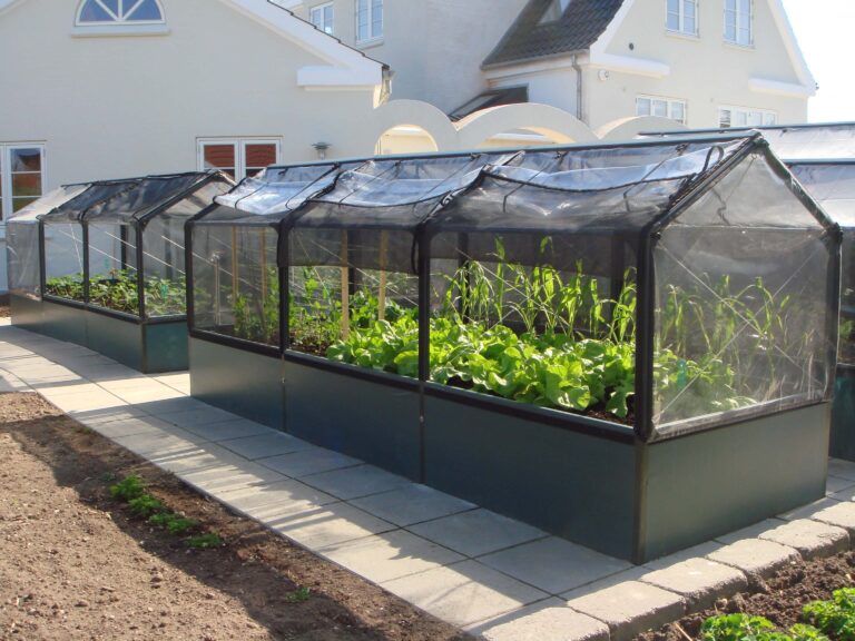 Greenhouse Gardening Ideas