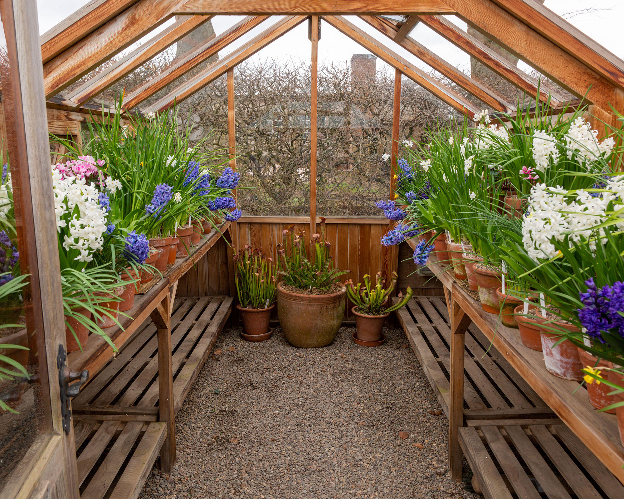 Greenhouse Organization Ideas