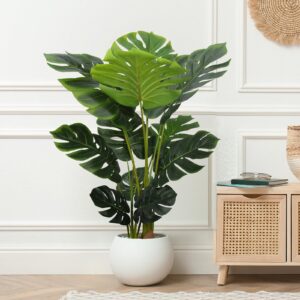 Monstera Plant Decor Ideas