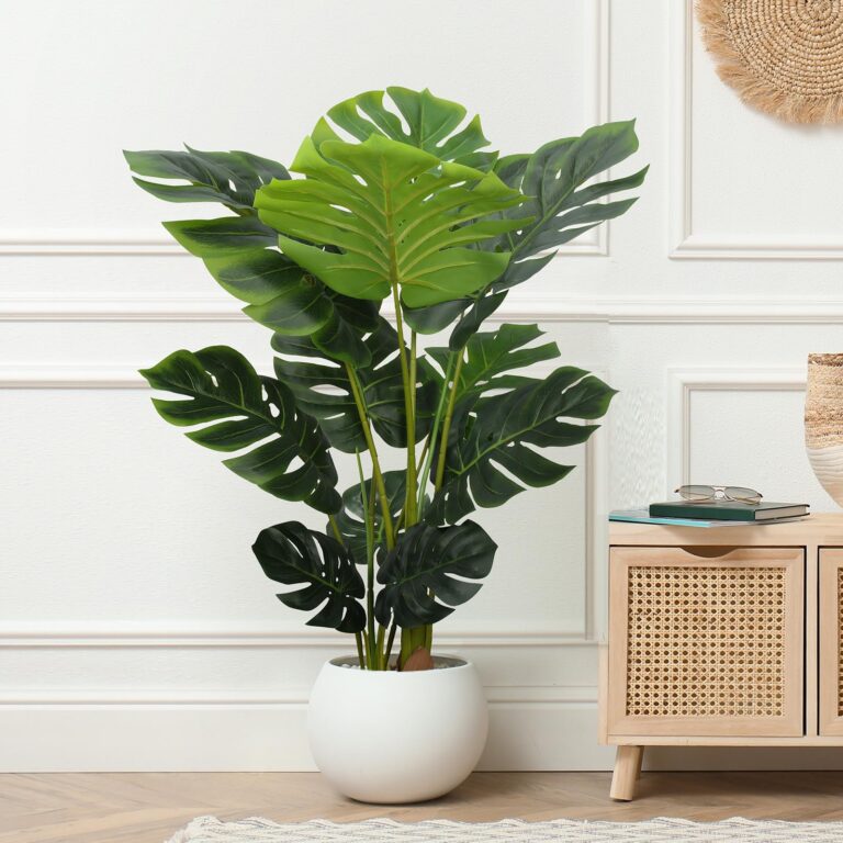Monstera Plant Decor Ideas