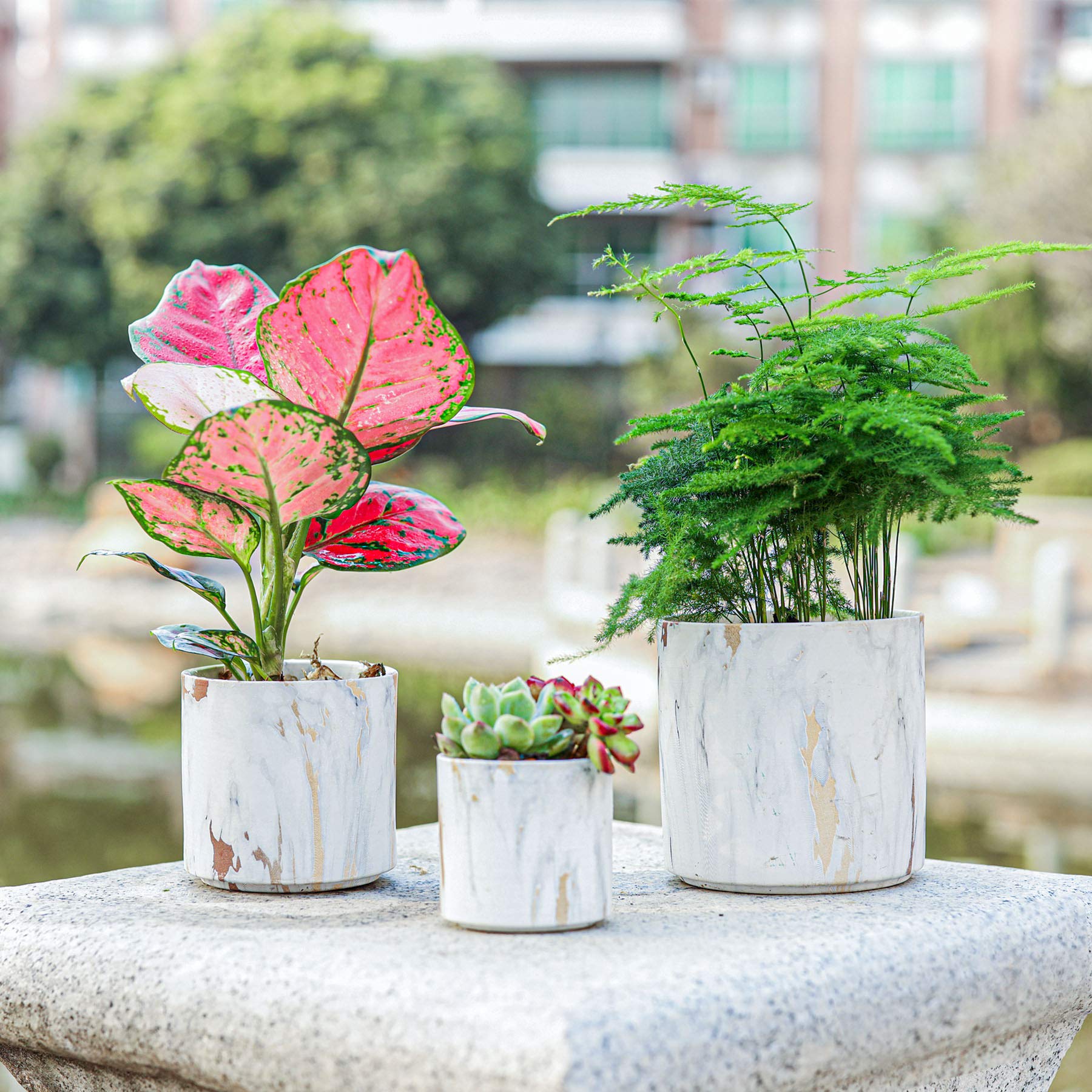 Plant Indoor Decor Ideas